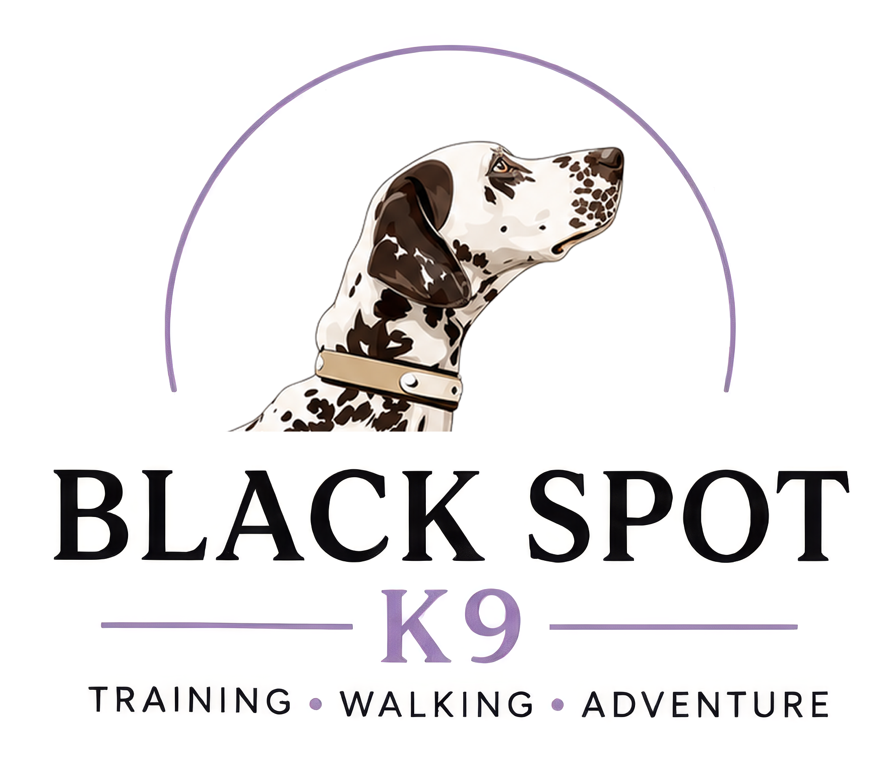 Black Spot K9 logo